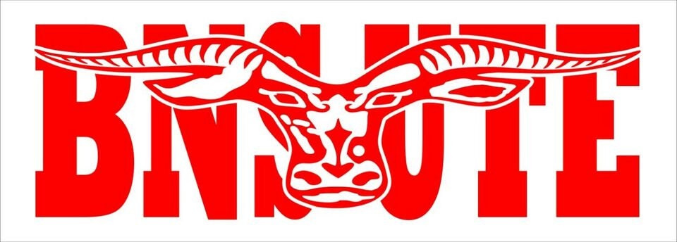 BNS UTE vinyl decal 260 x 65 mm CONFIRM your color