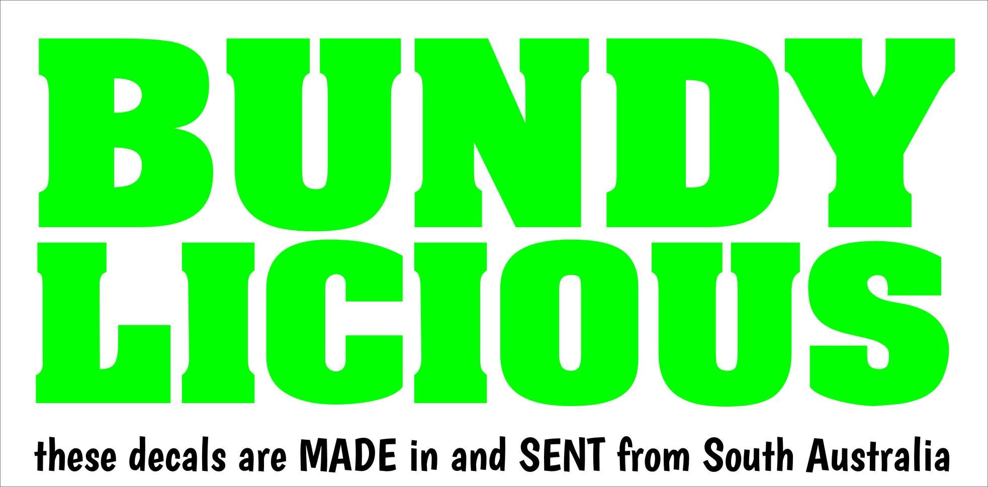 BUNDY LICIOUS vinyl decal 250 x 100 mm CONFIRM your color