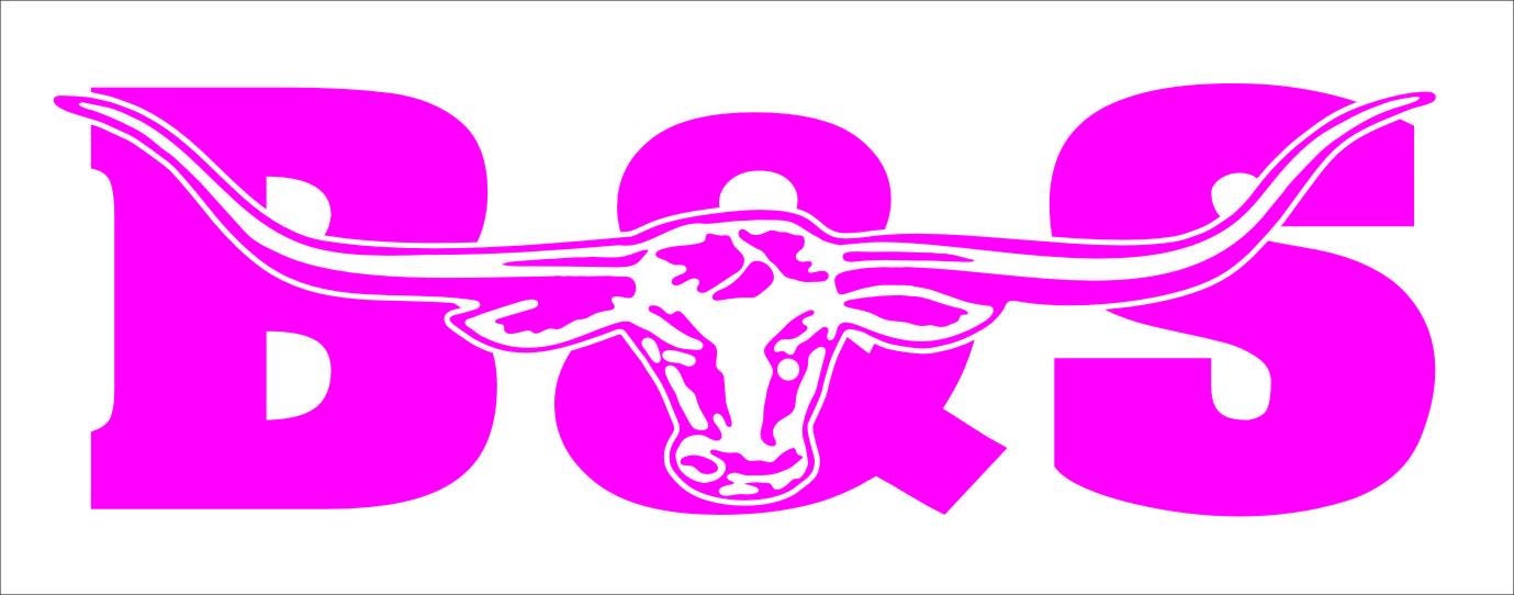 B&S vinyl decal 260 x 80 mm CONFIRM your color