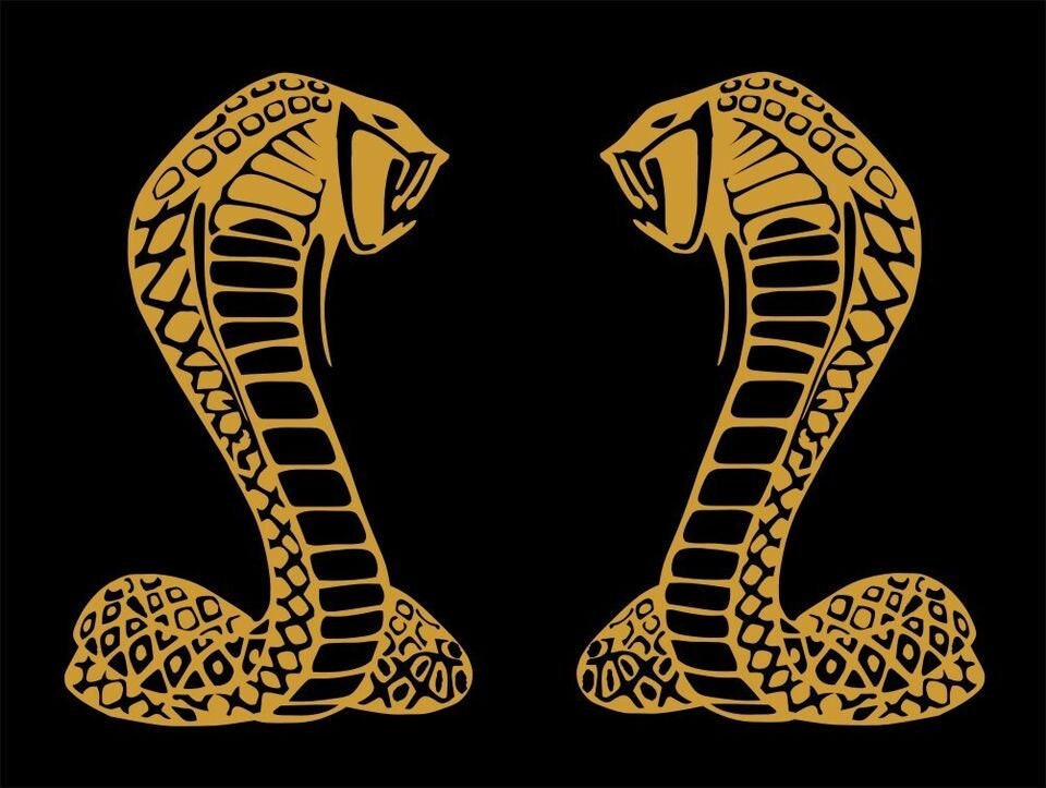 Cobra vinyl decals TWO (2) 180 x 115 mm each CONFIRM your color