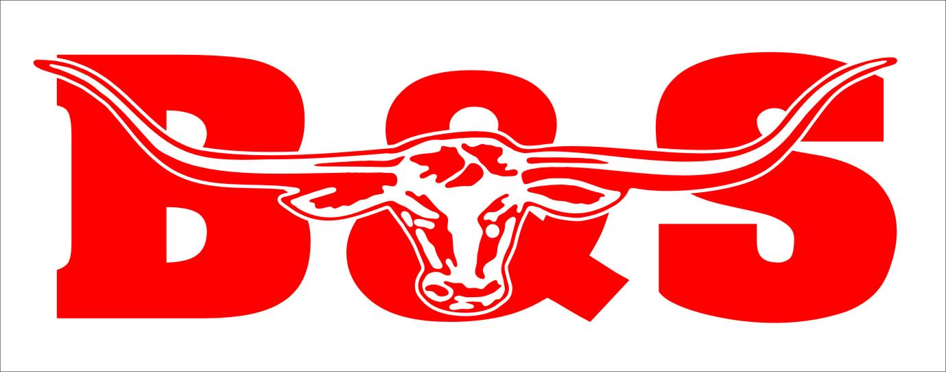 B&S vinyl decal 260 x 80 mm CONFIRM your color