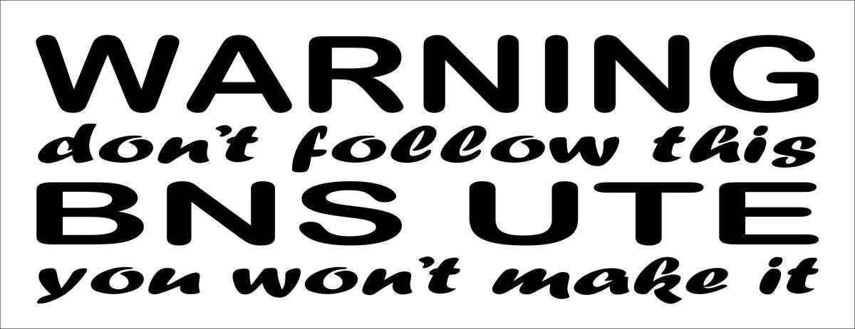 BNS UTE Warning funny vinyl decal 260 x 90 mm CONFIRM your color