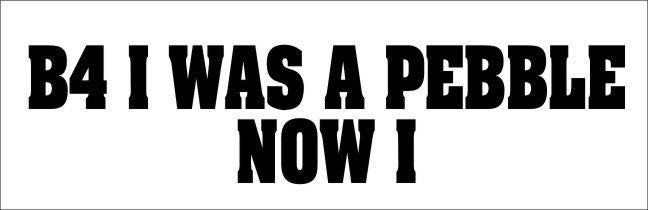 AMAROK funny vinyl decal 240 x 50 mm CONFIRM your color