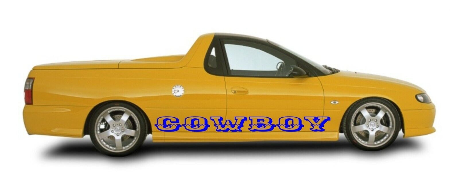 BNS Custom HUGE vinyl decals TWO (2) 1400 x 250 mm Confirm your color and font