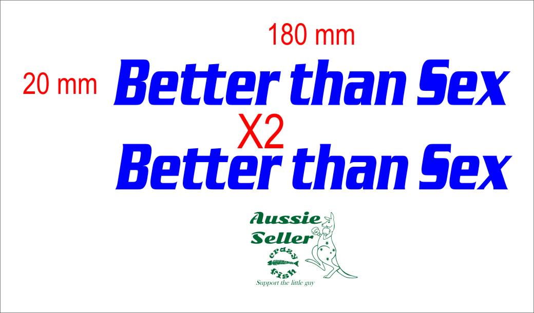 Better Than SEX funny vinyl decals TWO (2) 180 x 20 mm  each CONFIRM your color