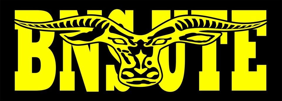 BNS UTE vinyl decal 260 x 65 mm CONFIRM your color