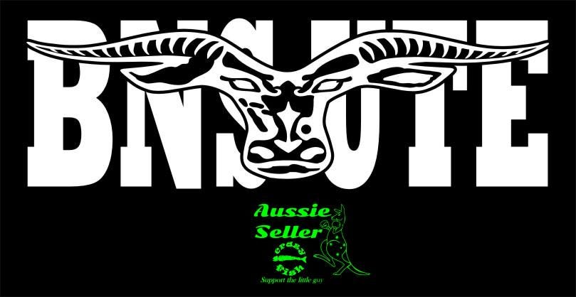 BNS UTE  vinyl decal 260 x 85 mm CONFIRM your color