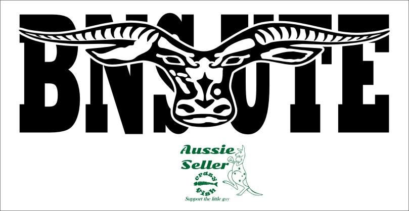 BNS UTE  vinyl decal Large 1100 x 275 mm CONFIRM your color