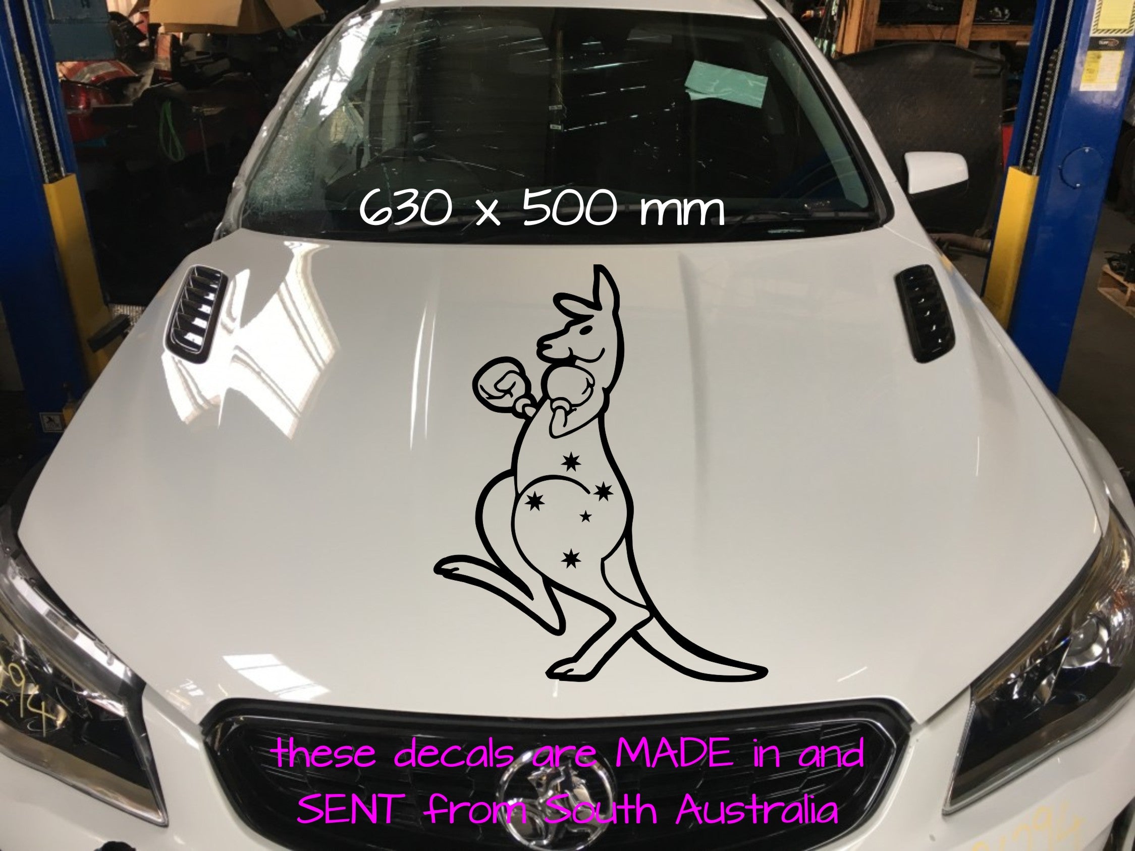 Boxing Kangaroo vinyl decal LARGE 630 x 500 mm CONFIRM your color