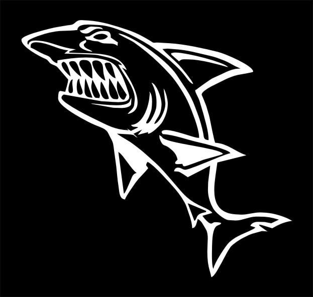 ANGRY SHARK decal 220 x 130 mm CONFIRM your color
