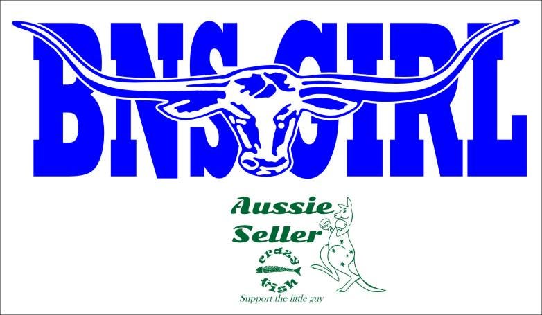 BNS GIRL  vinyl decal Large 1100 x 275 mm CONFIRM your color