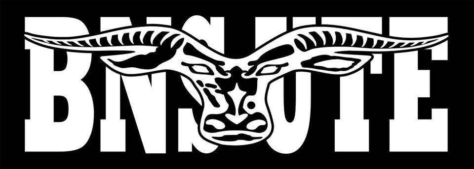 BNS UTE vinyl decal 260 x 65 mm CONFIRM your color