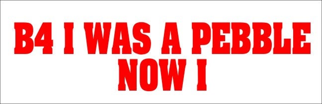 AMAROK funny vinyl decal 240 x 50 mm CONFIRM your color