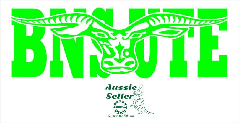 BNS UTE  vinyl decal 260 x 85 mm CONFIRM your color