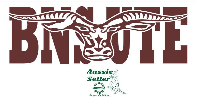 BNS UTE  vinyl decal 260 x 85 mm CONFIRM your color