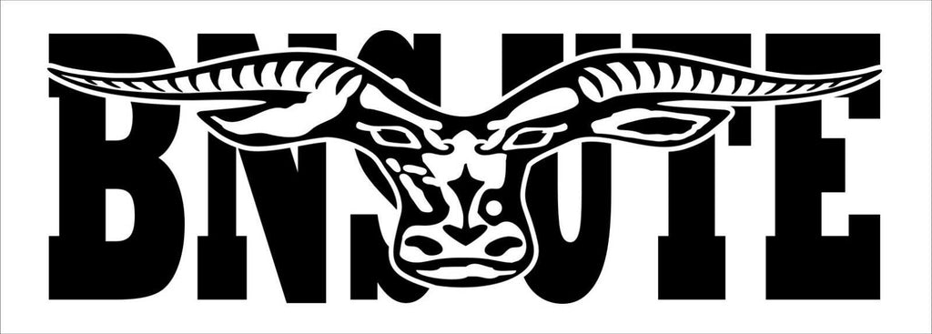 BNS UTE vinyl decal 260 x 65 mm CONFIRM your color