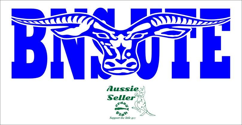 BNS UTE  vinyl decal 260 x 85 mm CONFIRM your color