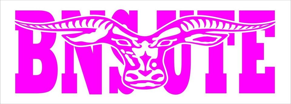 BNS UTE vinyl decal 260 x 65 mm CONFIRM your color