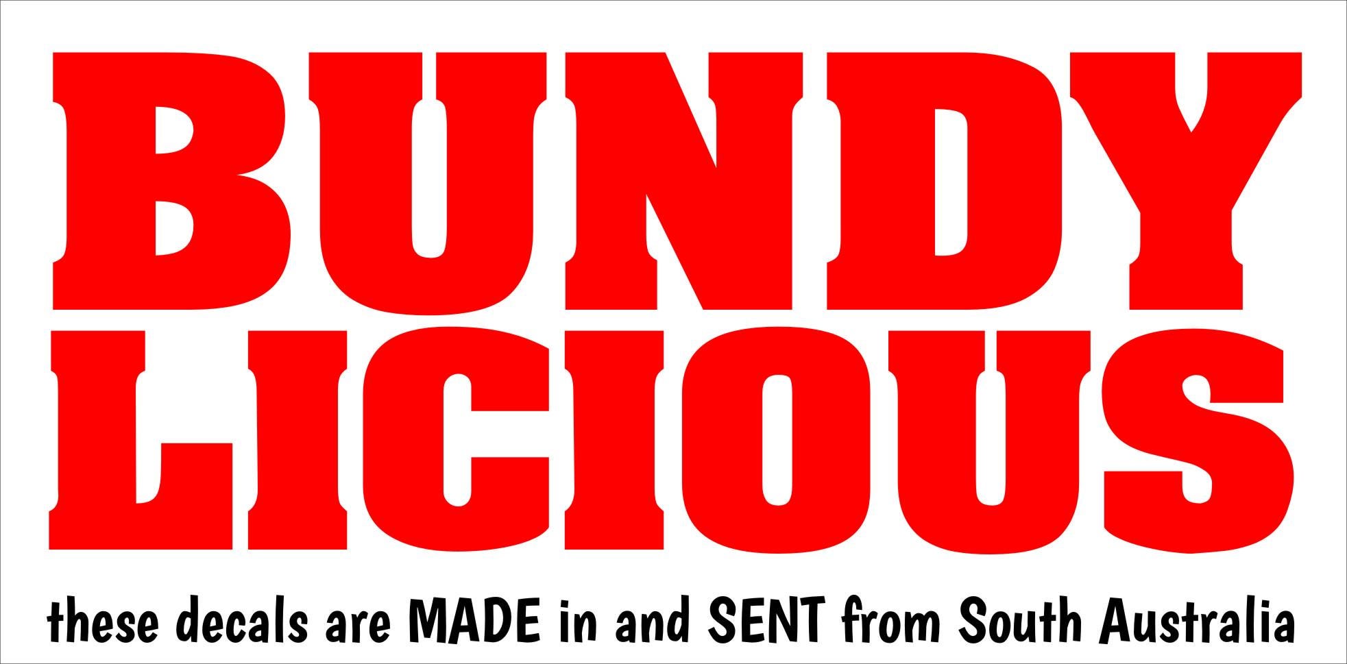 BUNDY LICIOUS vinyl decal 250 x 100 mm CONFIRM your color