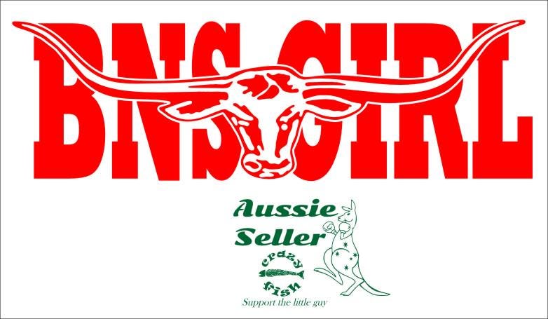 BNS GIRL  vinyl decal Large 1100 x 275 mm CONFIRM your color