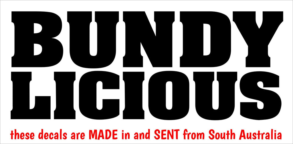 BUNDY LICIOUS vinyl decal 250 x 100 mm CONFIRM your color