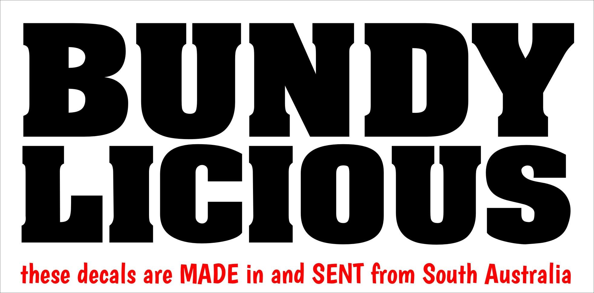 BUNDY LICIOUS vinyl decal 250 x 100 mm CONFIRM your color