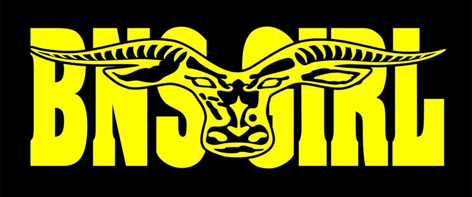 BNS GIRL longhorn vinyl decal 260 x 90 mm CONFIRM your color