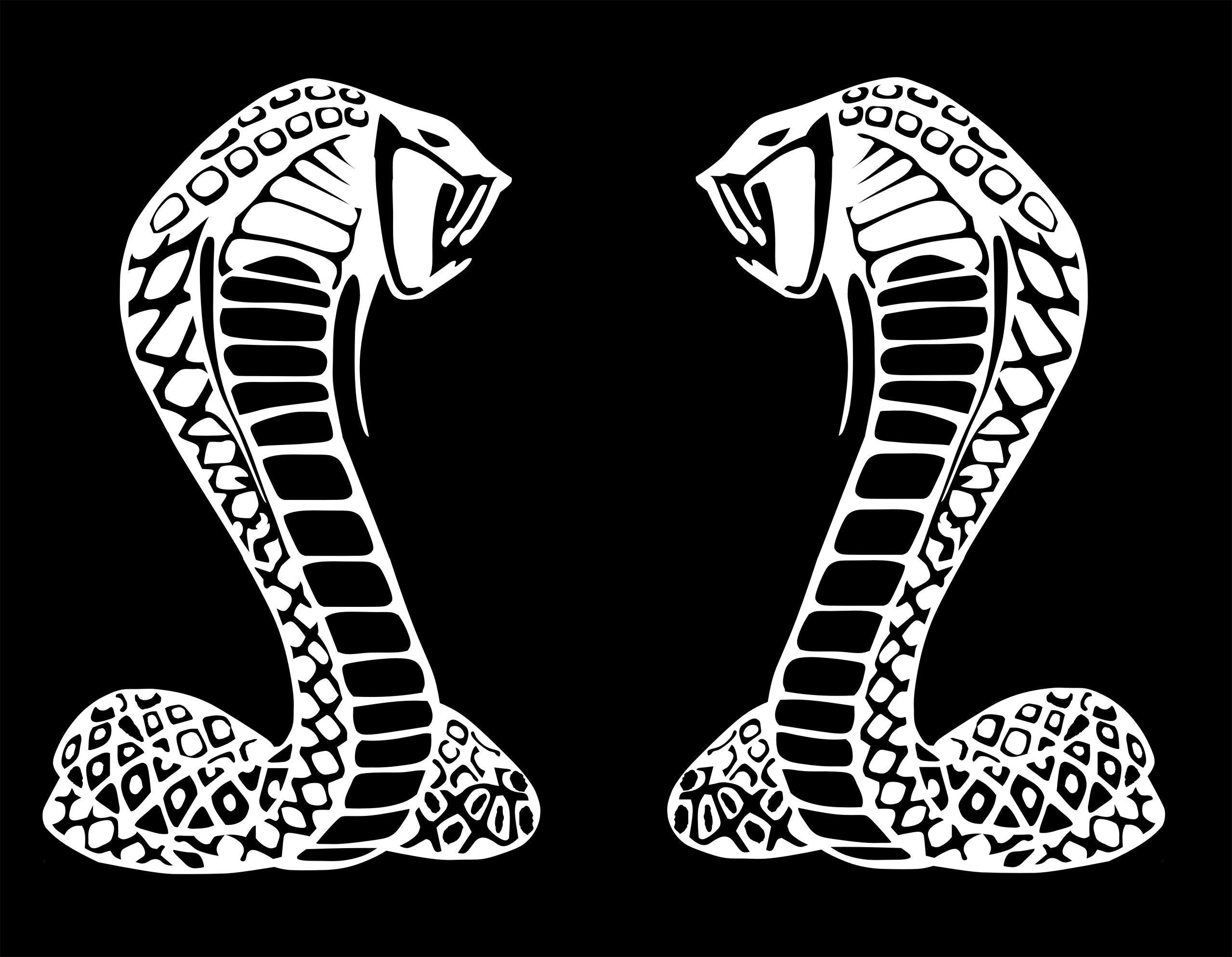 Cobra vinyl decals TWO (2) 180 x 115 mm each CONFIRM your color